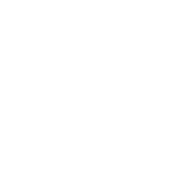 pw-investor-cisco-white